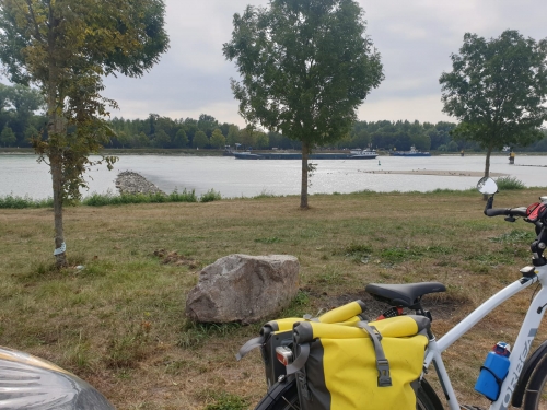 J21 Le Rhin à Seltz (67)